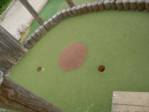 After the ball rolls into the Mole Hole you come out at a second level with a choice of two holes to putt into?
